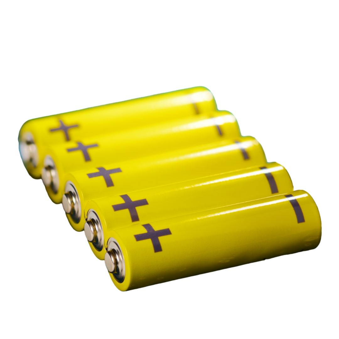 5 AA Alkaline Batteries